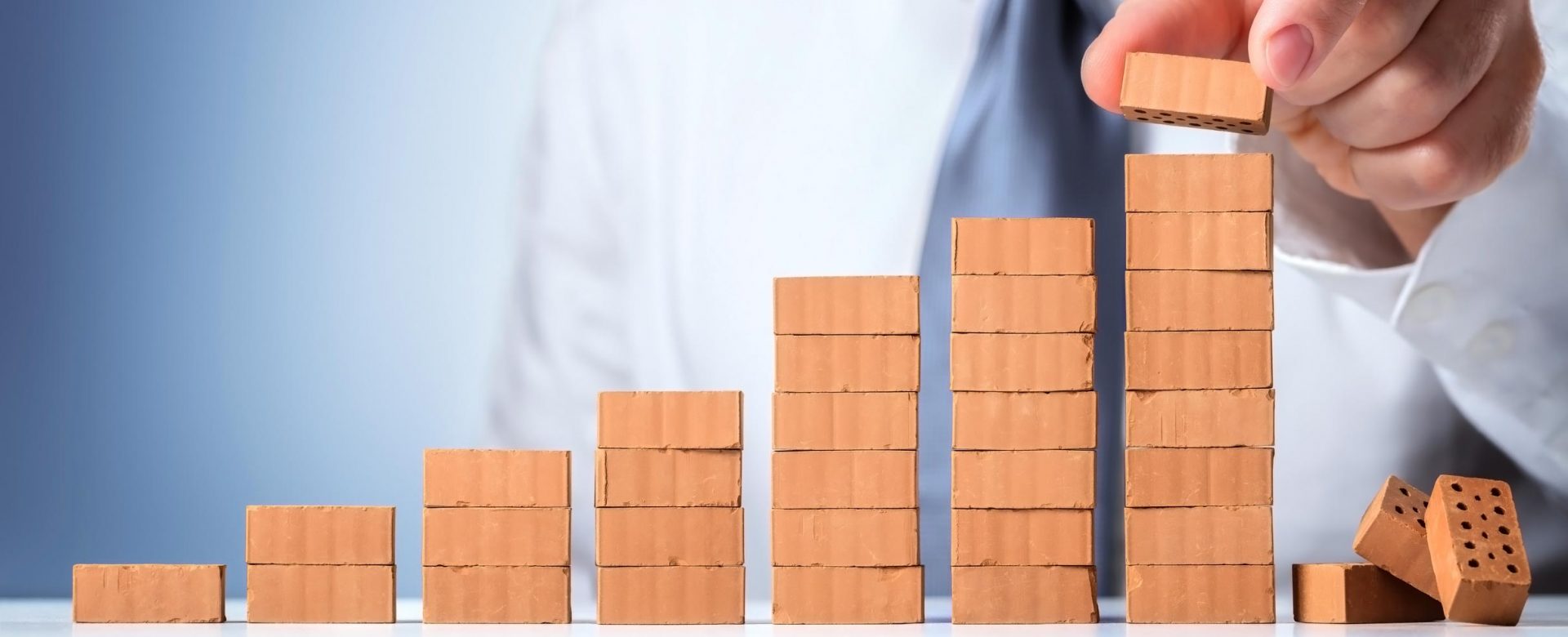 Business Consultancy and Management services